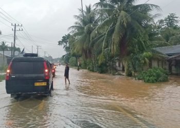 Sejumlah Titik Jalan Nasional Tergenang Banjir