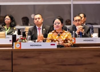 DPR RI Sampaikan Keberatan tak Ada Isu Perdamaian Palestina di Sidang ke-9 P20 India