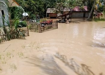 Tiga Kecamatan di Aceh Utara Terendam Banjir