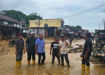 Irpannusir Minta Pj Gubernur Aceh Tetapkan Banjir Bandang di Aceh Selatan sebagai Bencana Daerah
