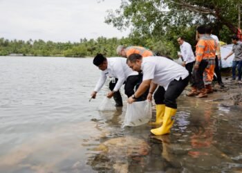 Pj Gubernur Aceh Dukung Pertambangan Berwawasan Lingkungan